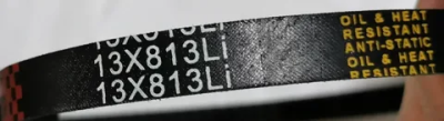 Ремень 13х813Li CHAMPION PC8742F  в Новом Уренгое